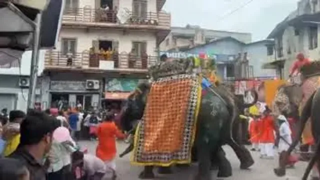 Elephants go berserk during Ahmedabad rathyatra, three people injured