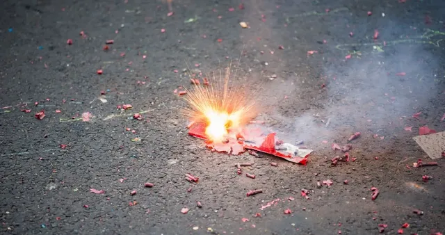 Delhi Govt Bans All Firecrackers in Clubs, Bars and Restaurants Ahead of Festive Season.