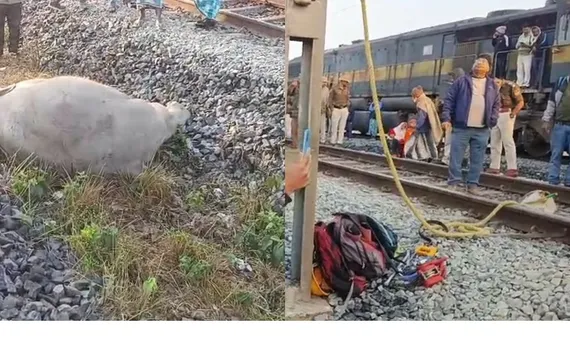Tragedy in Assam: Sairang–New Delhi Rajdhani Express Derails After Hitting Elephants, 8 Killed.