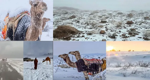 Saudi Arabia Sees Snow After 30 Years: Icy Sand Dunes Stun the World.