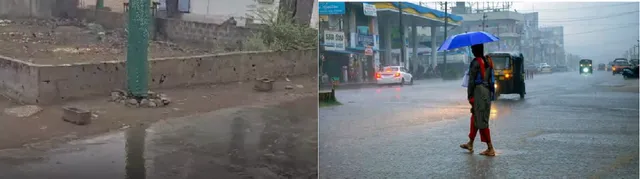 Year Ends with Rain in Gujarat, Rabi Crops Face Risk