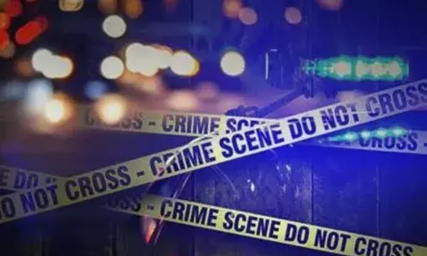 Indian-origin woman stabbed to death at bus stop in London