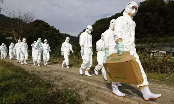 US Health officials to spend $100 Million on bird flu surveillance