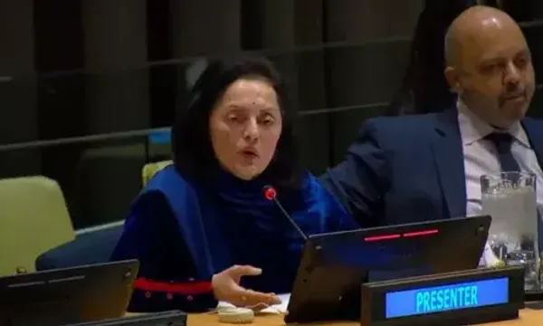 New Delhi emphasises on need for immediate reforms to United Nations Security Council