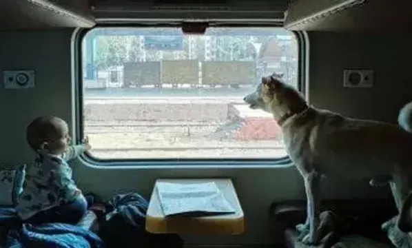 Thousands of Pets travel by train from Pune Station