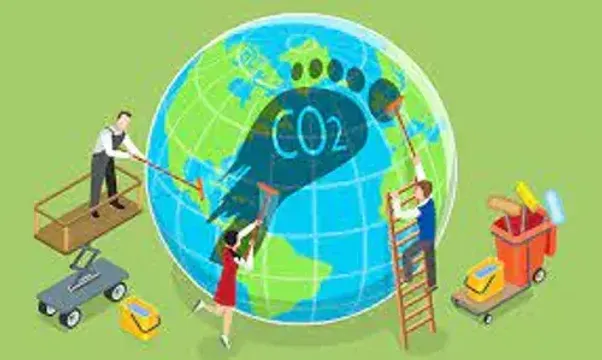 How Polypack Packaging Can Help Reduce Your Company's Carbon Footprint