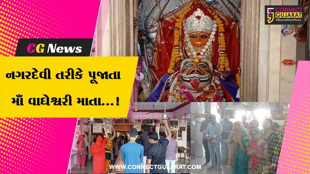 જૂનાગઢ : નગરદેવી તરીકે પૂજાતા માઁ વાઘેશ્વરી માતા ભક્તોની મનોકામનાં કરે છે પૂર્ણ, ચૈત્રી નવરાત્રીમાં દર્શન માટે ઉમટતા ભક્તો.