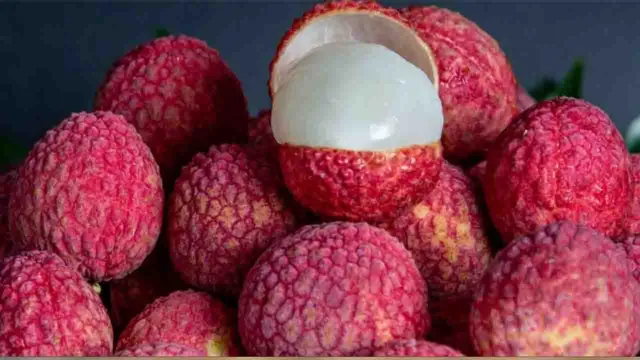 લીચીને પાણીમાં પલાળીને કેમ ખાવી જોઈએ.? આ રહ્યું કારણ