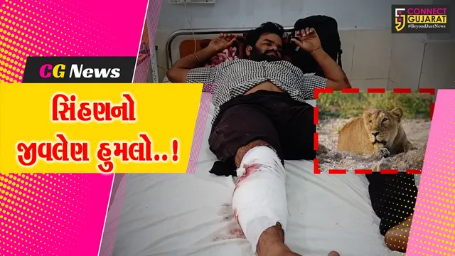 જુનાગઢ : પાદરીયા ગામમાં શ્રમિક યુવક પર સિંહણનો જીવલેણ હુમલો, ઇજાગ્રસ્તને પગમાં 15 ટાંકા આવ્યા...