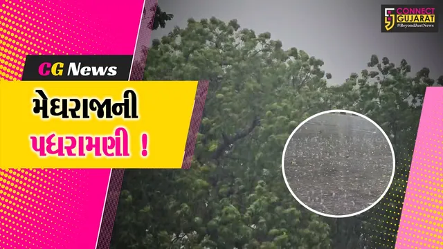 ભરૂચ: તમામ 9 તાલુકામાં સાર્વત્રિક વરસાદ,3 તાલુકામાં 1-1 ઇંચ વરસાદ નોંધાયો
