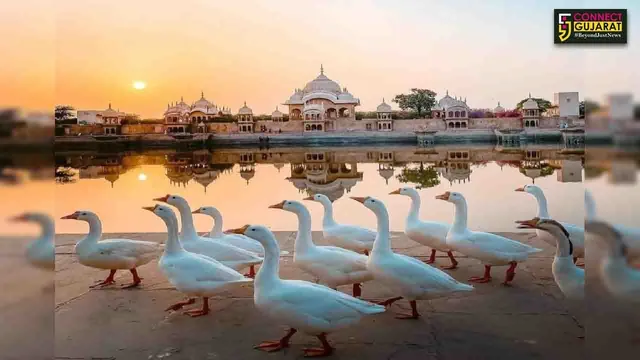 આ સુંદર સ્થળો છે અલવરથી 200 કિમી દૂર, મુલાકાત લેવાનો બનાવો પ્લાન