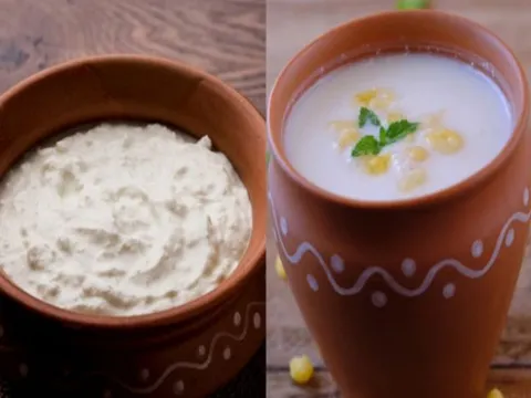 દહીં Vs છાશ, જાણો તમારા સ્વાસ્થ્ય માટે કયું શ્રેષ્ઠ છે