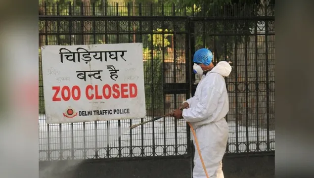દિલ્હીમાં બર્ડ ફ્લૂની એન્ટ્રી, પ્રાણી સંગ્રહાલય મુલાકાતીઓ માટે બંધ કરાયું