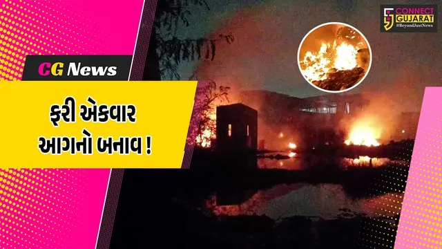 અંકલેશ્વર: NH 48 પર સ્ક્રેપના ગોડાઉનમાં ભીષણ આગ, ફાયર વિભાગે આગ પર કાબુ મેળવ્યો