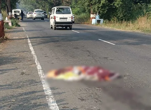 અંકલેશ્વર: હાંસોટના શેરા ગામ નજીક અજાણ્યા વાહનની અડફેટે મહિલાનું મોત, પોલીસે તપાસ શરૂ કરી