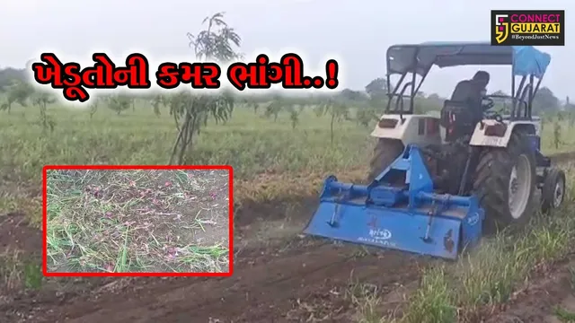 અમરેલી : પોષણક્ષમ ભાવ ન મળતા ધારી-ફતેગઢના ખેડૂતે ખેતરમાં ડુંગળી પર રોટાવેટર ફેરવી સંપૂર્ણ પાક નષ્ટ કર્યો..!