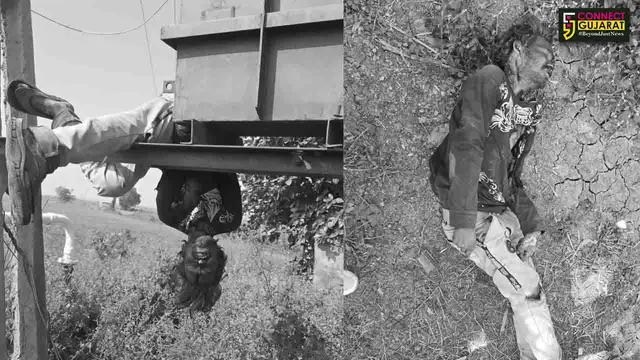 ભરૂચ : આમોદના દોરા ગામે વીજ કરંટ લાગતાં યુવાનનું ઘટના સ્થળે મોત, પરિવાર-ગ્રામજનોમાં શોકનો માહોલ...