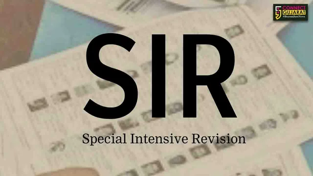 ભરૂચ: SIRની પ્રક્રિયામાં 78.04% મતદારોનું મોબાઈલ વેરિફિકેશન પૂર્ણ, રાજકીય પક્ષના આગેવાનો સાથે યોજાય બેઠક