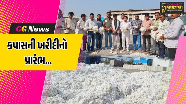 છોટાઉદેપુર : પાવીજેતપુરમાં CCI દ્વારા ખેડૂતોને સારો ભાવ આપવા સાથે કપાસની ખરીદીનો પ્રારંભ...