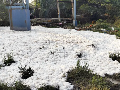 ભરૂચ: ઝઘડિયા જીઆઈડીસીમાં NCTLની લાઇનમાંથી પ્રદુષિત પાણી વહ્યા બાદ ફીણ નજરે પડ્યું !