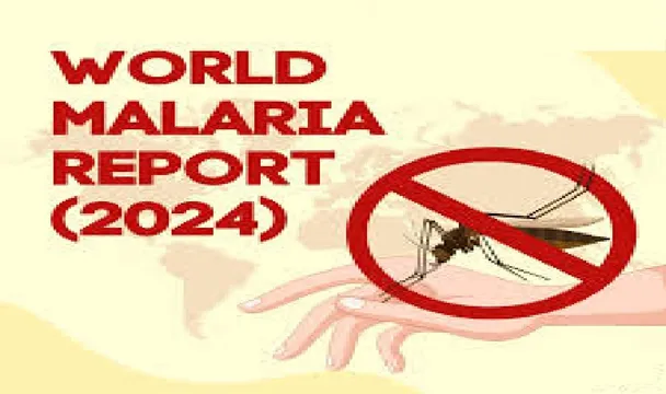 મેલેરિયાથી 6.10 લાખ મોત, 28.2 કરોડ કેસ; બે ટેકનિકથી 10 લાખ જીવ બચ્યા: WHO