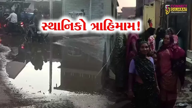 ભરૂચ: આમોદ નગર સેવા સદનના પ્રમુખના વિસ્તારમાં ઉભરાતી ગટરની સમસ્યા, સ્થાનિકો ત્રાહિમામ