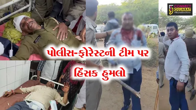 બનાસકાંઠા : દાંતામાં જમીન વિવાદમાં પોલીસ-ફોરેસ્ટની ટીમ પર પથ્થર અને તીર-કામઠાંથી હુમલો,45થી વધુ જવાન ઘાયલ