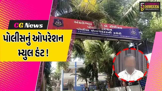 અંકલેશ્વર: ઓપરેશન મ્યુલ હંટ હેઠળ રૂ.9.50 લાખનું સાયબર ફ્રોડ આચરનાર ટોળકી એક સાગરીતની પોલીસે કરી ધરપકડ