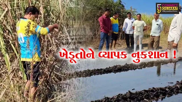 અંકલેશ્વર: સજોદ ગામની સીમમાં કેનાલ ઓવરફ્લો થતા ખેતીના ઉભા પાકને નુકશાન, સમસ્યાના નિરાકરણની ખેડૂતોની માંગ