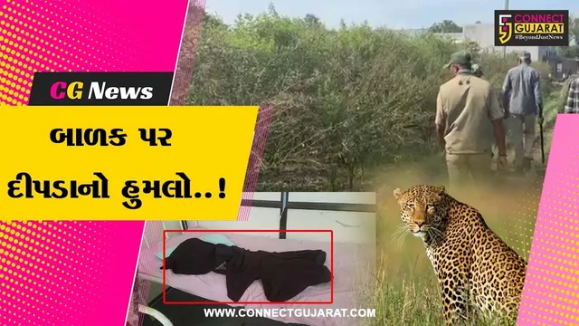 અમરેલી : ધારીના ગોપાલગ્રામમાં દીપડાના હુમલામાં બાળકનું મોત, દીપડાને પાંજરે પુરવા વન વિભાગની કવાયત...