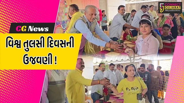 ભરૂચ: પાંજરાપોળ ખાતે વિશ્વ તુલસી દિવસની ઉજવણી, તુસલીના છોડનું કરાયુ વિતરણ