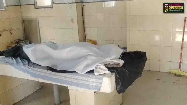 ભરૂચ: દિલ્હી-મુંબઇ એસકપ્રેસ વે પર આમોદ નજીક અકસ્માત, કારની અડફેટે સાઈડ પર ઉભી રહેલ અન્ય કાર ચાલકનું મોત