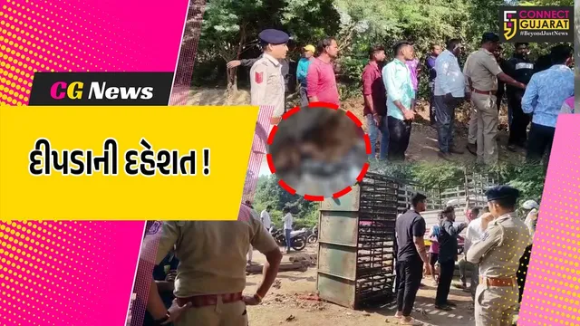 ભરૂચ: જુના તવરા ગામે દીપડાએ વાછરડાનો શિકાર કરતા ગ્રામજનોમાં ફફડાટ, વન વિભાગે તત્કાલિક પાંજરું ગોઠવ્યું