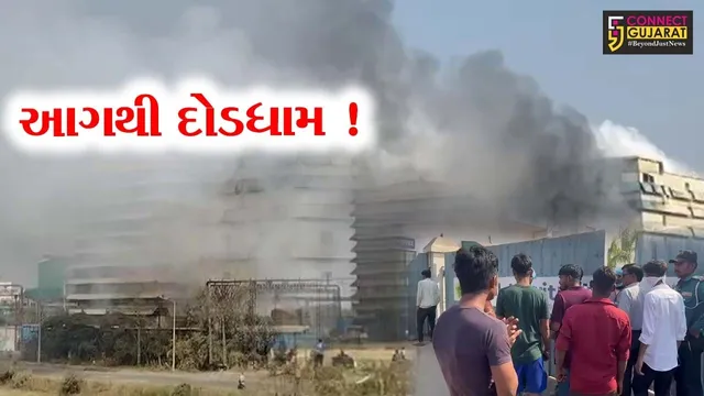 અંકલેશ્વર: પાનોલી GIDCની સલફર મીલ કંપનીમાં આગ, ફાયર વિભાગે આગ પર કાબુ મેળવ્યો