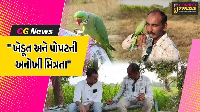 ગીર સોમનાથ : કોડીનારમાં પોપટ બન્યો અનોખો મિત્ર, ખેડૂતના ખભા પર બેસીને નિભાવે છે મિત્રતા