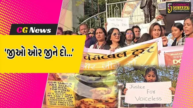 ભરૂચ : સામાજિક સંસ્થાઓ દ્વારા ‘શ્વાન બચાવો અભિયાન’નો પ્રારંભ, હેલ્પલાઇન નંબર જાહેર કરાયો...