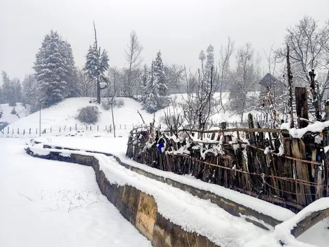 જમ્મુ કાશ્મીરના અનેક જિલ્લાઓમાં તાપમાનમાં ઘટાડો નોંધપાત્ર, ઉત્તર ભારત ધુમ્મસની ચાદરમાં ઢંકાયું