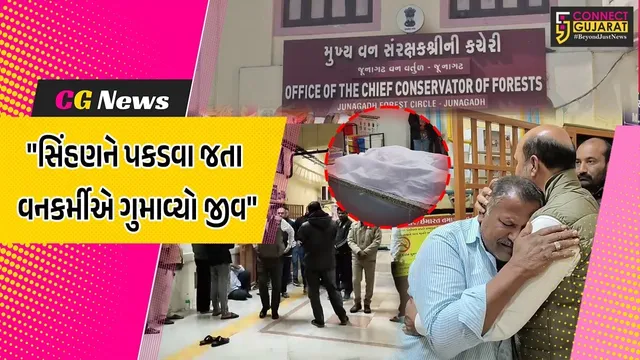 જૂનાગઢ : વિસાવદરમાં સિંહણને બેભાન કરવા ફાયર કરાયેલું ટ્રેન્ક્યુલાઈઝર ઈન્જેકશનથી ઘાયલ થયેલા વનકર્મીનું મોત