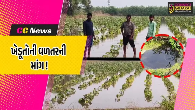 ભરૂચ: જંબુસરના નોંધણા ગામે ભર શિયાળે ખેતરો ફેરવાયા બેટમાં, વળતરની માંગ