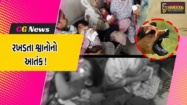 ભરૂચ: આમોદમાં રખડતા શ્વાનનો ત્રાસ, 3 બાળકો પર હુમલો કરી ગંભીર ઇજા પહોંચાડી