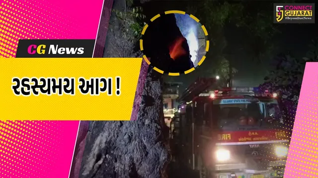 અંકલેશ્વર: સેલારવાડમાં લીમડાના વૃક્ષમાં 2 દિવસથી રહસ્યમય રીતે આગ, લોકોમાં કુતુહલ