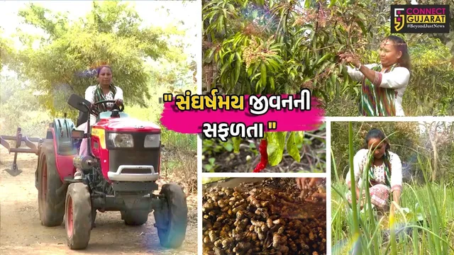 નર્મદા : શર્મિલાબેન પ્રાકૃતિક ખેતી અપનાવી બન્યા આત્મનિર્ભર,પતિના અવસાન બાદ જાતે ટ્રેક્ટર ચલાવી ખેતીમાં સફળતા પ્રાપ્ત કરી