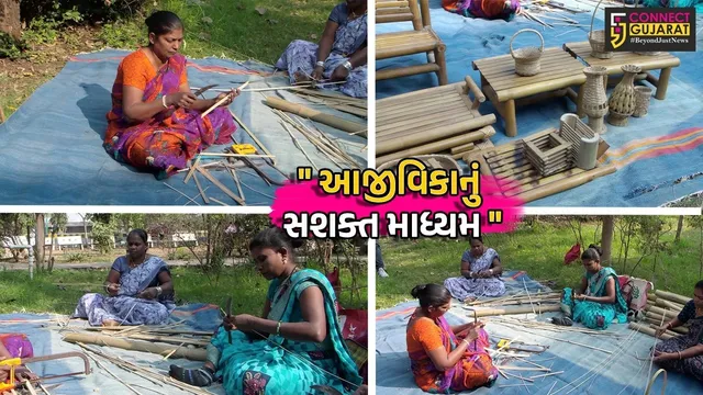 તાપી :  ઉચ્છલમાં આદિવાસી મહિલાઓએ પરંપરાગત વાંસ-કલાને આધુનિક તાલીમ દ્વારા આજીવિકાનું સશક્ત માધ્યમ બનાવ્યું