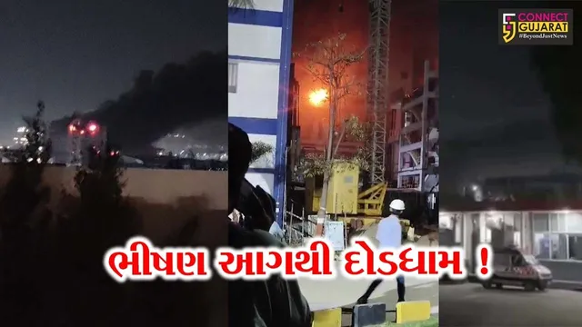 ભરૂચ: દહેજની એલિવસ લાઈફ સાયન્સ કંપનીમાં ભીષણ આગથી દોડધામ, 3 કામદારો દાઝ્યા