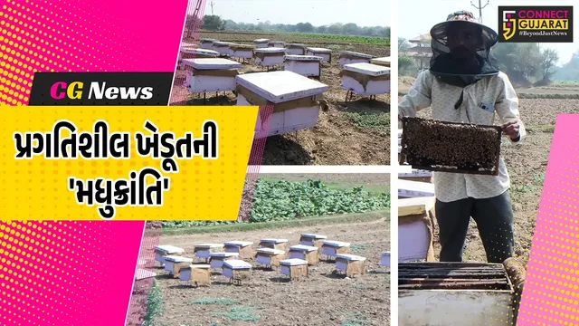 ખેડા : મધમાખી પાલન થકી વાર્ષિક રૂ. 1.50 કરોડની આવક સાથે જાળિયા ગામના પ્રગતિશીલ ખેડૂતે 'મધુક્રાંતિ' સર્જી...