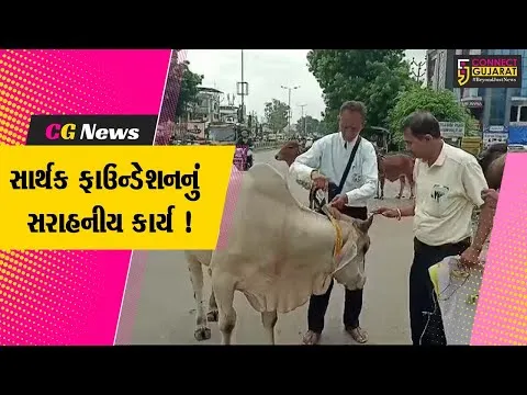 ભરૂચ: સાર્થક ફાઉન્ડેશન દ્વારા પશુઓને ગળામાં બાંધવા 300 રેડિયમ બેલ્ટનું વિતરણ કરાયુ