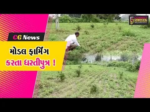 સાબરકાંઠા: દાંતીયા ગામના ખેડૂત પ્રાકૃતિક ખેતી સાથે મોડલ ફાર્મિંગ તરફ વળ્યા,અન્ય ખેડૂતોને પણ આપે છે સમજ