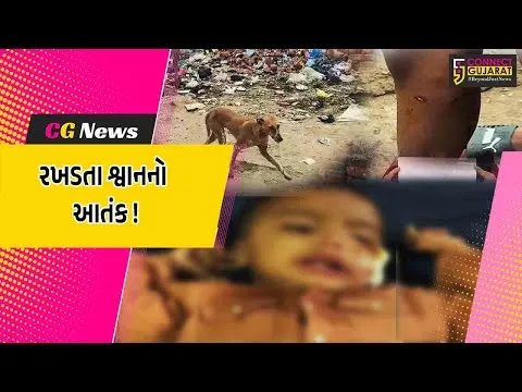 ભરૂચ : જંબુસરમાં રખડતા શ્વાનોનો આતંક, 12 બાળકો પર હુમલો કરતા સારવાર અર્થે ખસેડાયા
