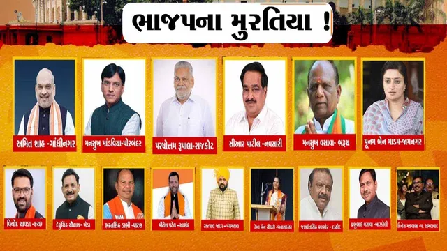 ભાજપે ચૂંટણી માટે 15 ઉમેદવારના નામ જાહેર કર્યા, મનસુખ વસાવા સતત 7મી વખત લડશે ચૂંટણી