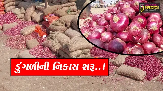 લોકસભા ચૂંટણી પૂર્વે મોદી સરકારે ડુંગળીની નિકાસ પરનો પ્રતિબંધ હટાવ્યો, 40% એક્સપોર્ટ ડ્યૂટીનો નિર્ણય..!